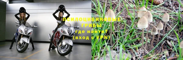 2c-b Новокубанск