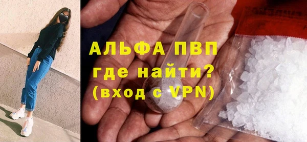 индика Татарск