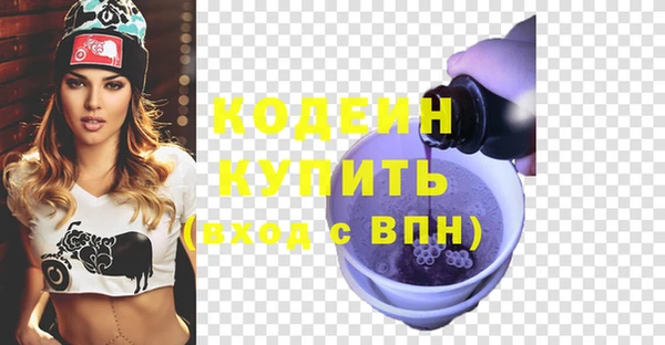 индика Татарск